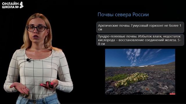 Почвы – особое природное тело. Видеоурок 15. География 8 класс смотреть онлайн