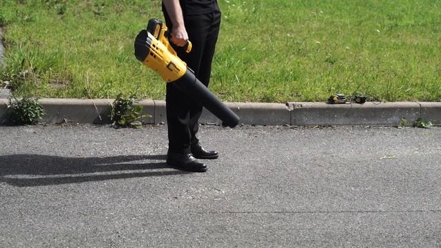 ВСЯ ПРАВДА О CHAMPION: Аккумуляторная садовая техника Champion - презентация серии 1811