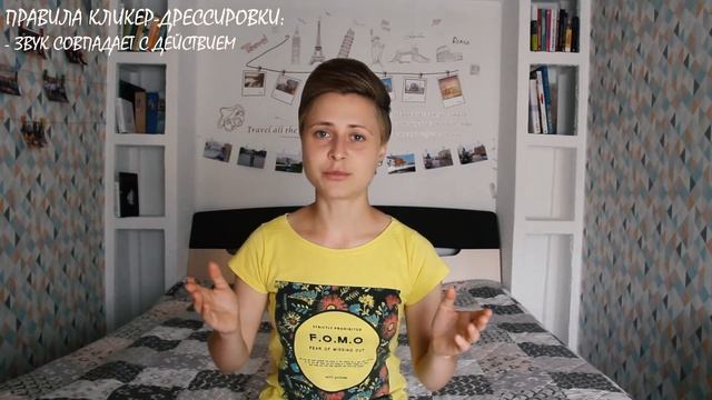 Кликер-дрессировка собак. Что такое кликер? Как работать с кликером? Как приучить йорка к кликеру? смотреть онлайн