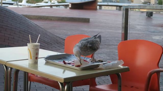 The best of Barcelona | Барселона - лучший город Испании смотреть онлайн