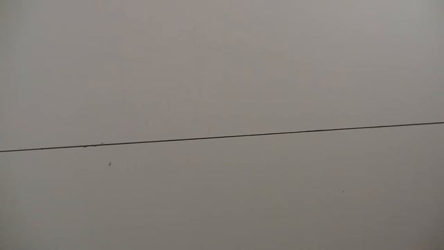 High School Parody of Monty Python & The Black Knight смотреть онлайн