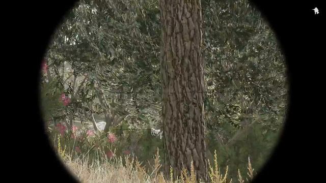 Арма 3 миссия "Берег". Кооперативная игра. смотреть онлайн