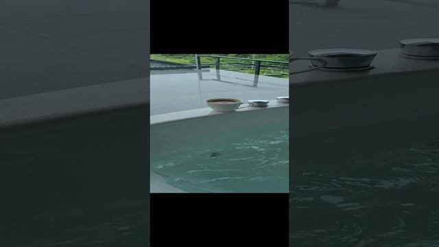 Кофе, джакузи, горы! смотреть онлайн