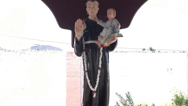 St Anthony of Padua, pray for us. 13th June 2020 смотреть онлайн