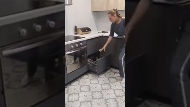 Обзор правильной кухни смотреть онлайн