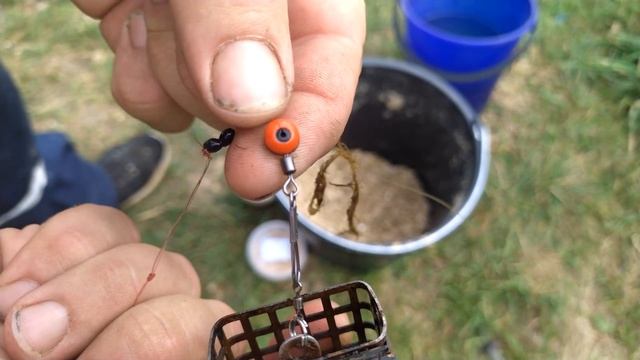 Рыбалка на даче. Ловлю карпа.