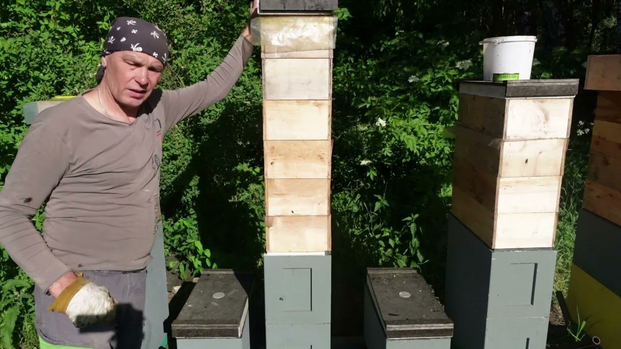 философия 6-ти рамочного улья 2 смотреть онлайн