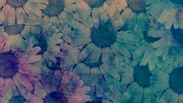 The Van T's - Daisy смотреть онлайн