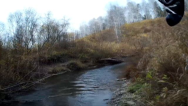 ЗА ХАРИУСОМ ПО МАЛЫМ РЕКАМ. ПО 5 ШТУК С ПЕРЕКАТА! Хариус в Новосибирске. смотреть онлайн