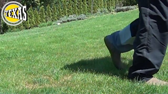 Разбрасыватель-сеялка Texas CS2500 смотреть онлайн