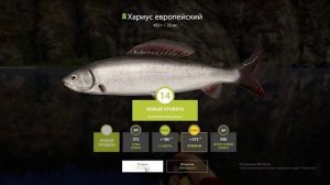 Русская рыбалка 4 Ловля Хариуса р.Белая