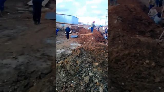 Чинар смотреть онлайн