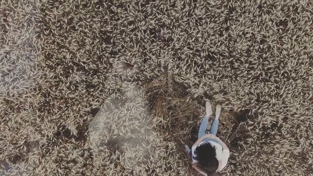 CLIP 060822 смотреть онлайн