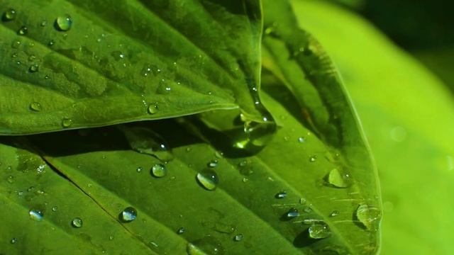 лечебная музыка для сердца и сосудов, релаксация, музыка для души! Самая красивая мелодия в мире смотреть онлайн