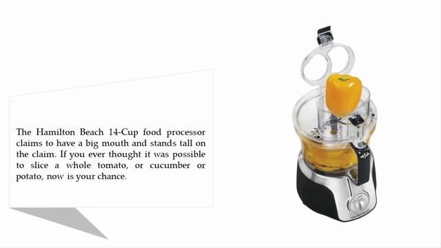 BEST FOOD PROCESSOR UNDER 100 смотреть онлайн