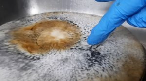 Как очистить сковороду: жир и нагар растворяются за 5 минут