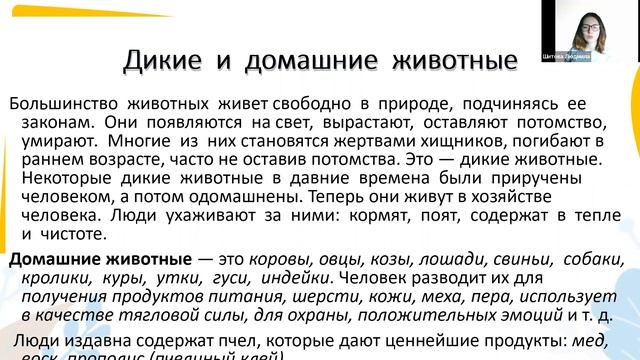 Узучаем биологию в 6 классе смотреть онлайн