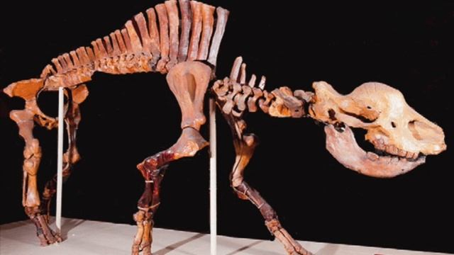 Paleo Log: Elasmotherium смотреть онлайн