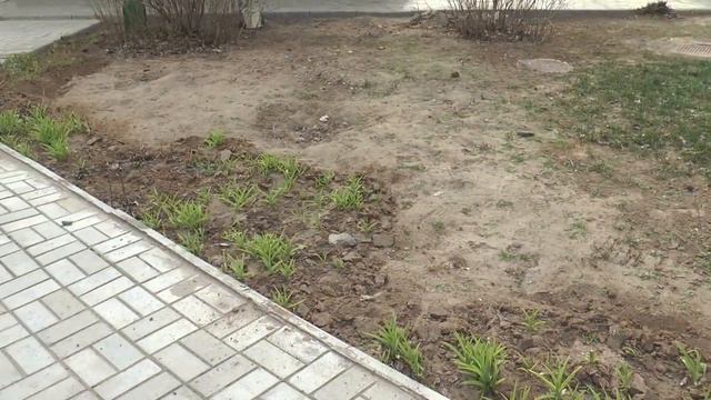Правила благоустройства г. Ахтубинска (20.03.2020) смотреть онлайн