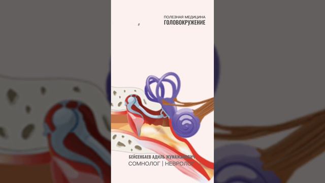Головокружение при поражениях внутреннего уха. #головокружение #здоровье #медицина смотреть онлайн