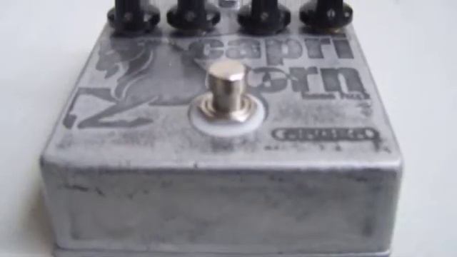 ARGER Capricorn Bass Fuzz смотреть онлайн