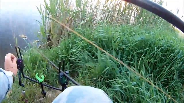Фидерно-карповая рыбалка на дикаре. Не все так просто смотреть онлайн