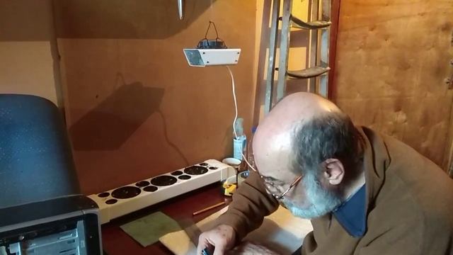 Фито лампа - простой отражатель и домашняя миниклумба.