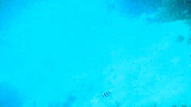 Люди на дне красного моря смотреть онлайн