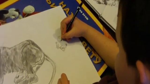Dusan Krtolica - Crtanje Zivotinja Olovkom - Drawing Animals With Pencil смотреть онлайн