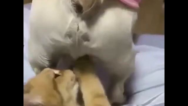 Колокольчик бубенчик смотреть онлайн