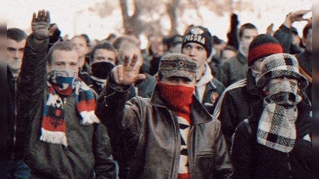 T.N.F - Молодой Питбуль смотреть онлайн