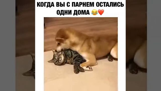 когда вы с парнем остались одни дома смотреть онлайн