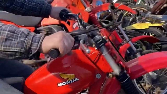 1979 Honda CR125R Elsinore (Red Rocket) First Start And Drive by смотреть онлайн