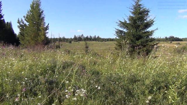 Уральская горка, слет 2018, режиссерская версия, без обработки смотреть онлайн