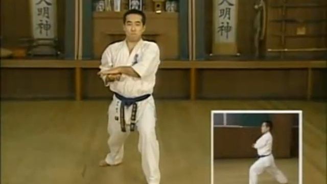 Каратэ Киокушинкай: Ката - Пинан Соно Го Ура | Kyokushin Karate: Kata - Pinan Sono Go Ura смотреть онлайн
