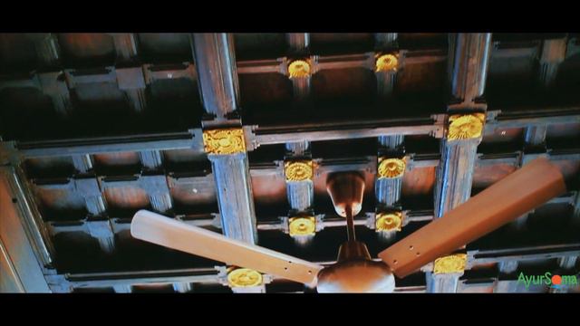 AyurSoma Ayurveda Royal Retreat #ayursoma #somatheeram #somatheeramayurvedavillage Www.ayursoma.org