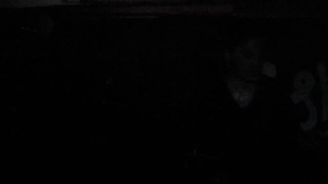 Психея - ХЖД.Акустика в Fish Fabrique.Спб.11.04.2012.