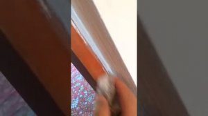 Как быстро отмыть двери после ремонта