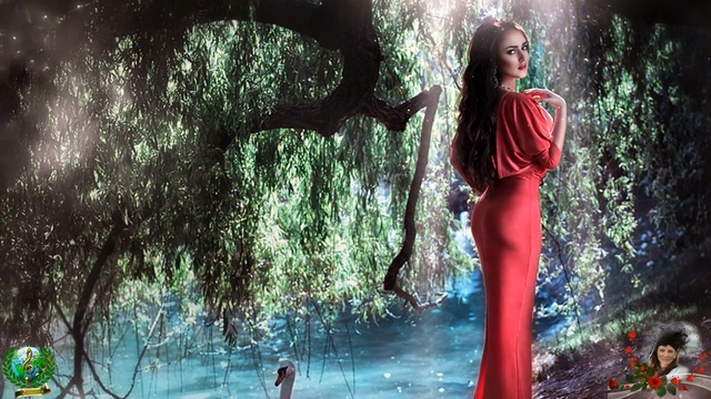 __17_Лариса Хижняк٭))  Лебедь белая٭٭))) 