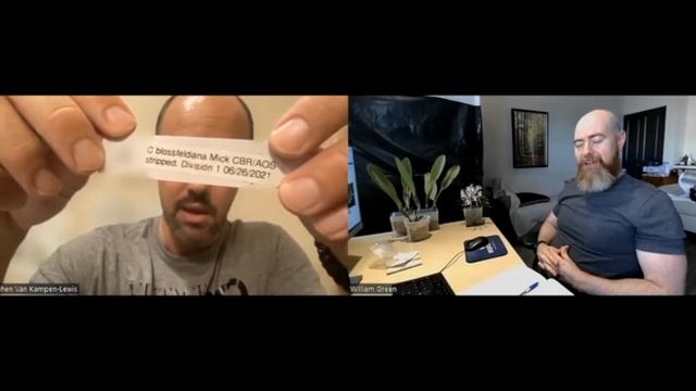 Orchid Chit Chat - June 2022 смотреть онлайн