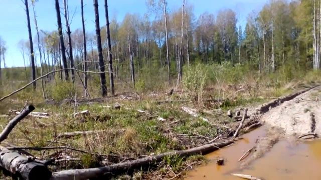 Ленинградская обл. рыбалка. смотреть онлайн