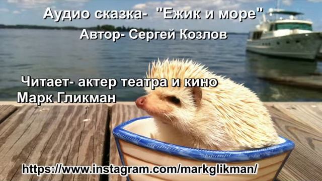 Аудио сказка - " Ежик и Море" Автор - Сергей Козлов смотреть онлайн