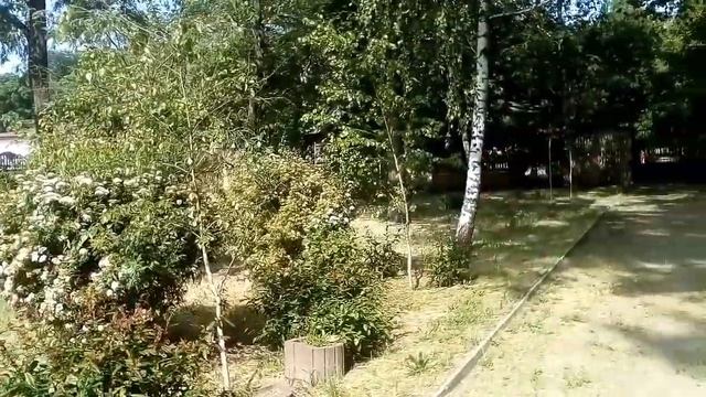 Мелитополь 24.05.2023 Работа смотреть онлайн