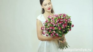 Букет 25 кустовых роз Би Бабблс. Цветы Новая Голландия