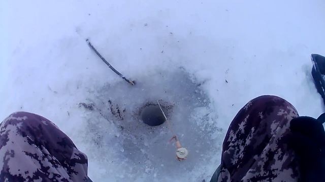 Зимняя рыбалка с прикормкой, тестируем самодельную прикормку смотреть онлайн
