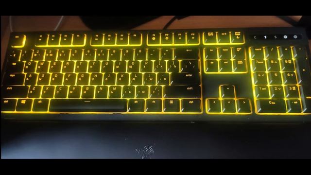 Razer Ornata Chroma (+v2) - ОБЗОР И ОПЫТ ИСПОЛЬЗОВАНИЯ смотреть онлайн