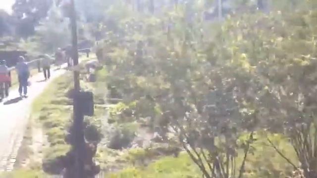 Словения Рогашка Слатина смотреть онлайн