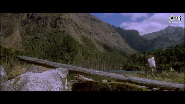 Tanhai Tanhai Dono Ko Paas Le Aayi | Shahrukh Khan | Madhuri Dixit | Alka Yagnik | Udit Narayan