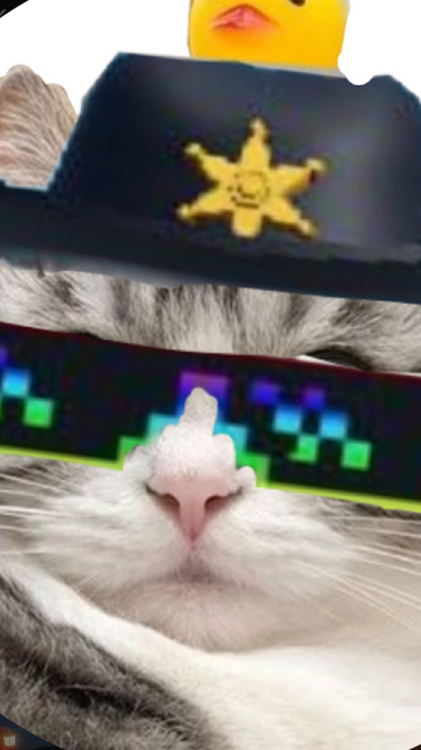4249111666552588662