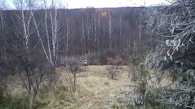 bashan 200 смотреть онлайн